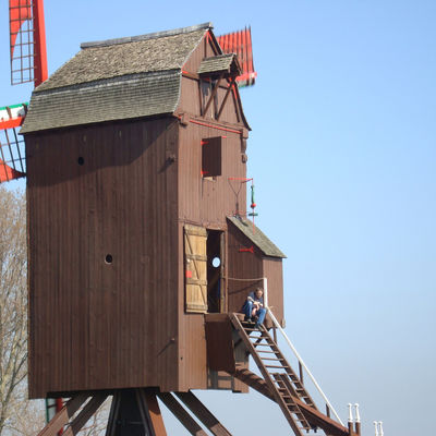 Große Windmühle Poelbergmolen in Tielt, Belgien