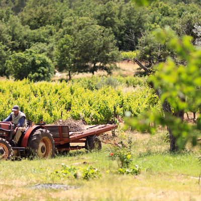 Traktor auf dem Feld in Brignoles, Frankreich.