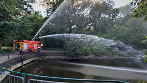 Feuerwehreinsatz am Fasanerieteich