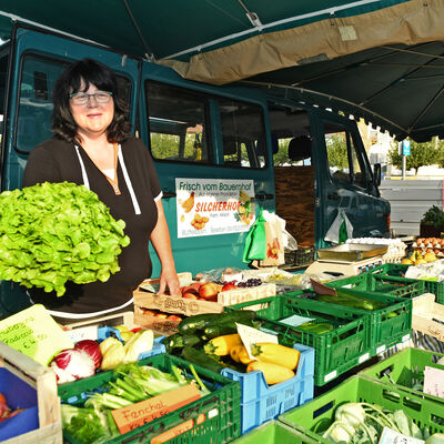 Warenauslage mit buntem Gemüse vom Bauernhof Silcherhof auf dem Wochenmarkt in Groß-Gerau.