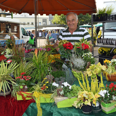 Blumiges Angebot des Marktbeschickers Blumen Metzger auf dem Wochenmarkt.
