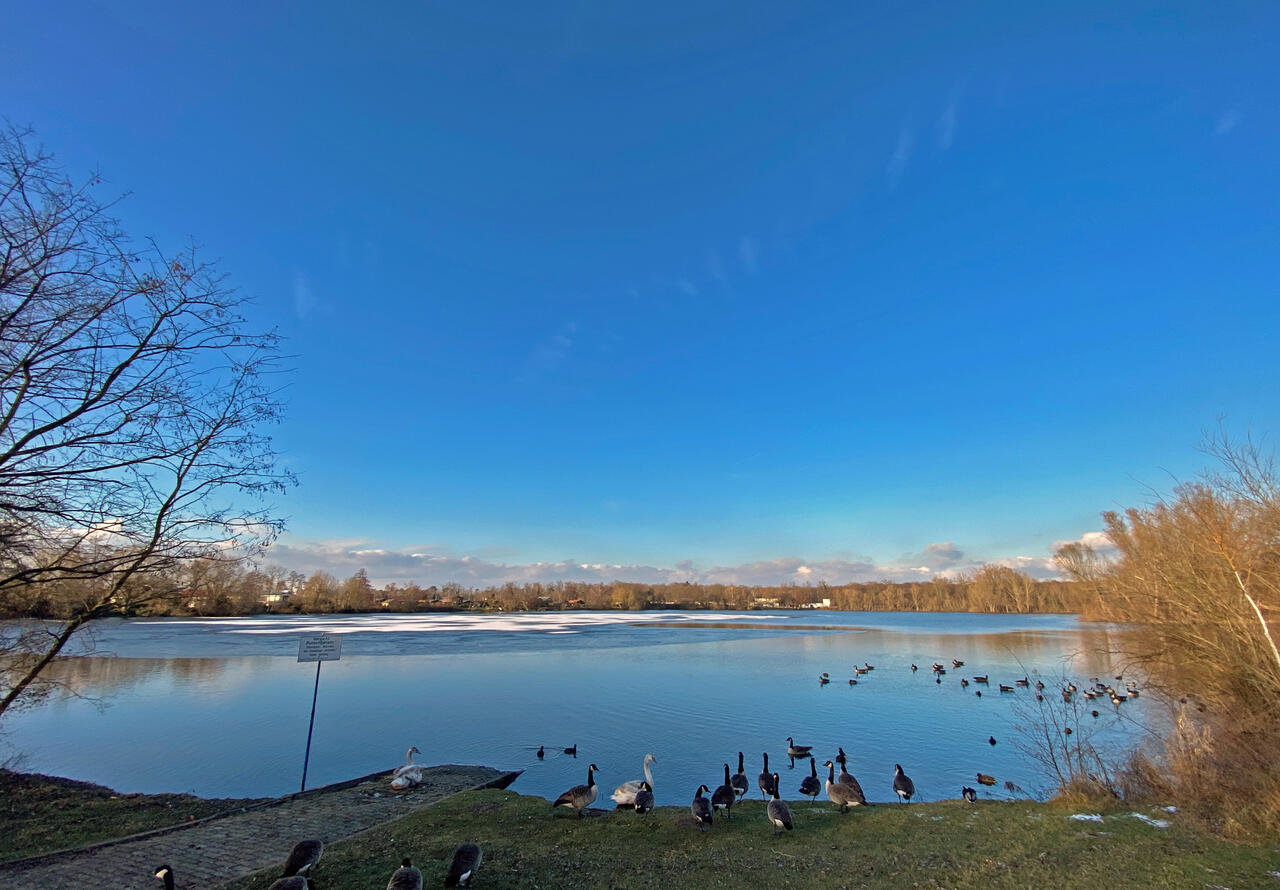 20240117_Hegbachsee_Winter1