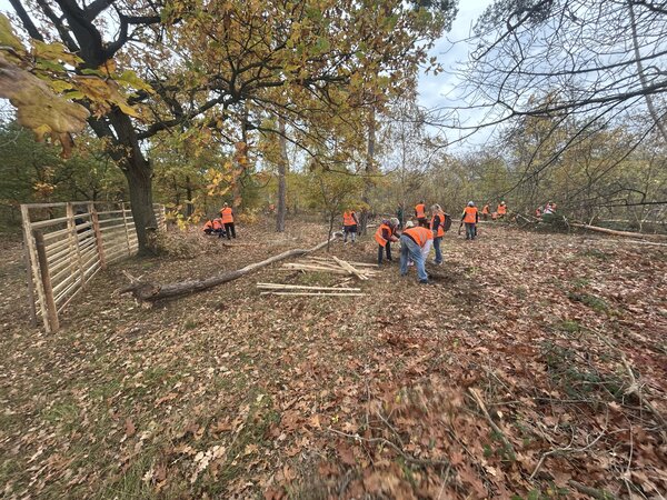 Pflanzaktion Hei&szlig;feldwald Dornheim