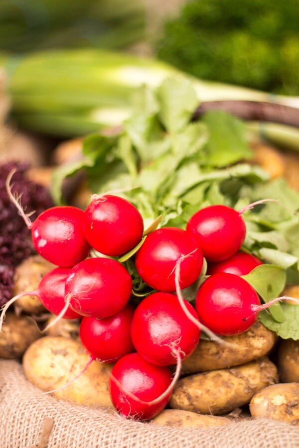 myamadlash-radishes-1564087