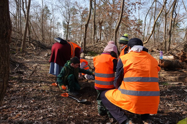 Hei&szlig;feldwald Pflanzaktion 7.3.2026