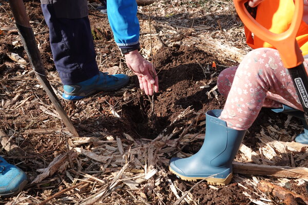 Pflanzaktion Hei&szlig;feldwald Detail
