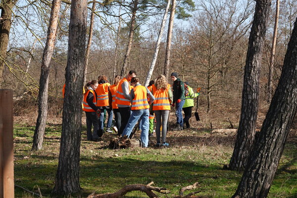 Hei&szlig;feldwald Pflanzaktion Gruppe