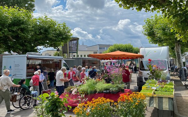Vorschau Marktfr&uuml;hst&uuml;ck 23. Mai 2026