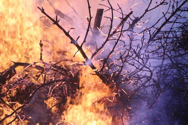 Warnung Waldbrandgefahr 23. Juni 2026