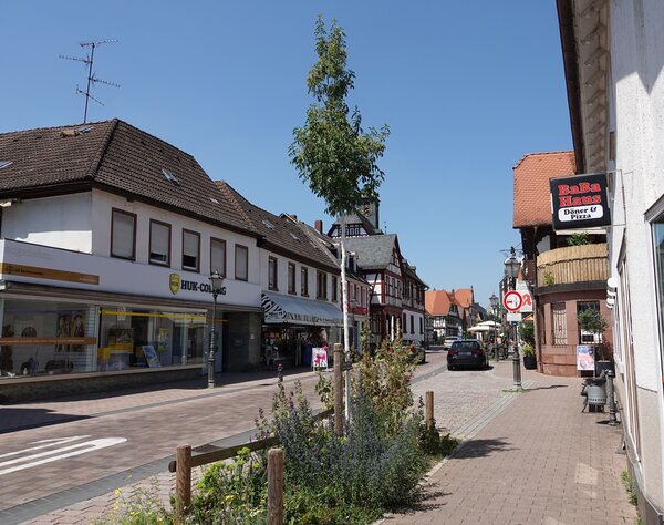 Stadtbaum Historisches Rathaus 24. Juni 2026