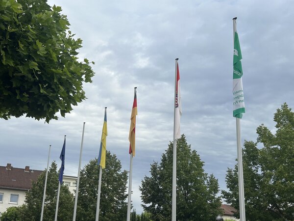 Mayors for Peace Flagge
