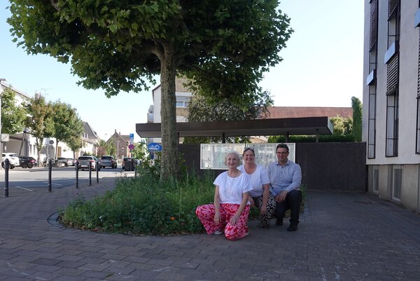 Klimaaktiv Bl&uuml;hfl&auml;che Stadthaus 28. Juli 2026