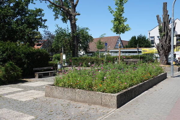 Klimaaktiv Bl&uuml;hfl&auml;chen Jahndenkmal 28. Juli 2026
