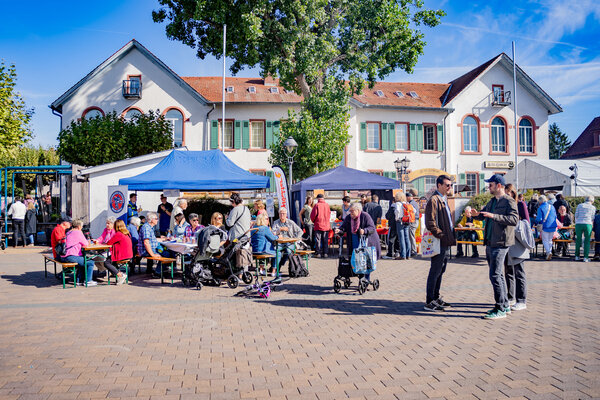 Marktfr&uuml;hst&uuml;ck &Uuml;berblicksbild 26. September 2026