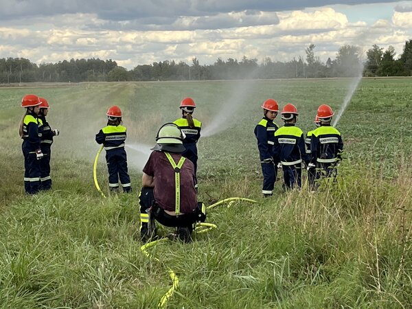 Feuerv&ouml;gel Berkach