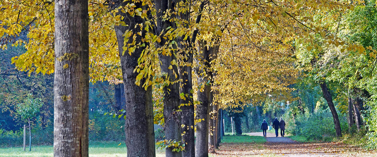 Herbst_Fasanerie