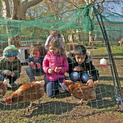 Kinder mit Hühnern.