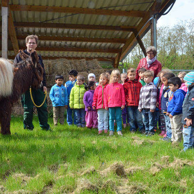 Kita-Kinder bestaunen Ponys beim Ausflug in Tiergarten.